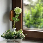 For Pensión 3*